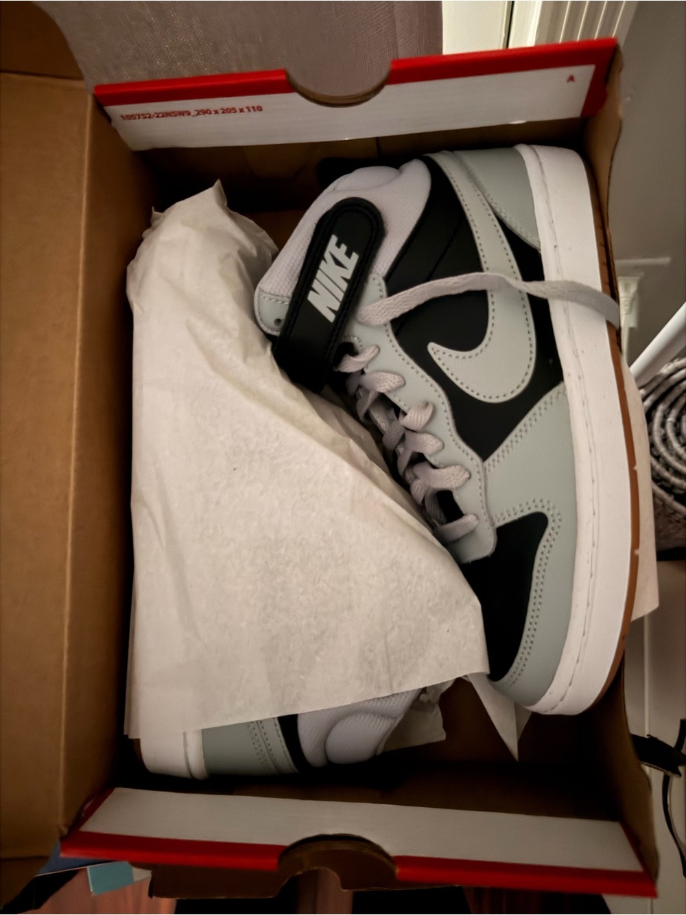 Nike Low-Top Sneakers in Black and Light Gray